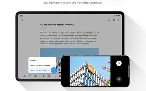 Interconnectivity Capabilities