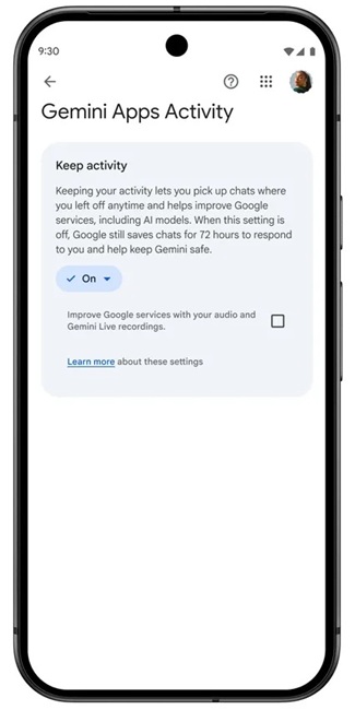 Gemini Enhanced Data Controls