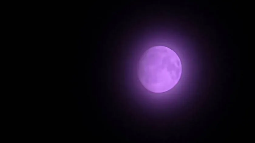 One UI 8 beta camera glitch Purpal Moon