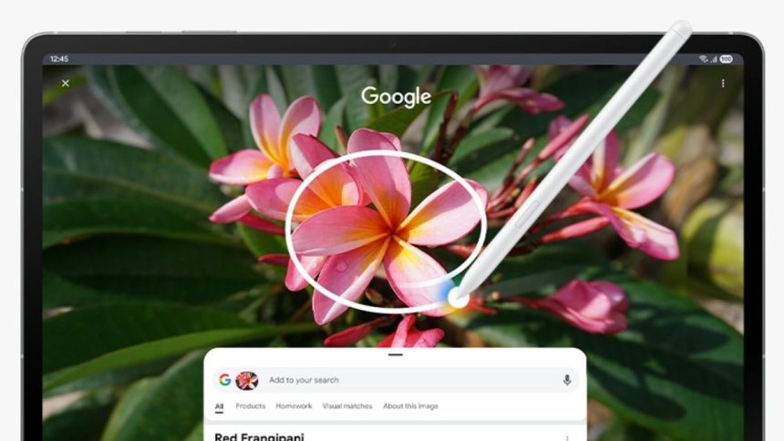 Samsung Galaxy Tab A11 Surfaces in Live Photo