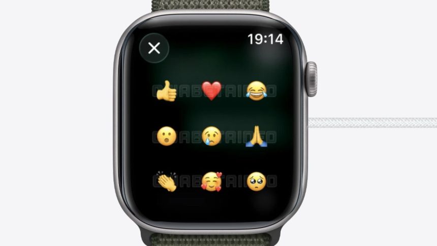 WhatsApp Finally Launches Official Apple Watch App
